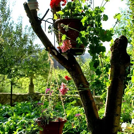With Parking Space Vlasici, Pag - 4140 Povljana